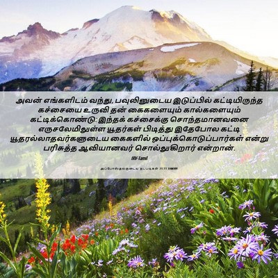 Picture 06 - அப்போஸ்தலருடைய நடபடிகள் 21:11 TAMIRV - அவன் எங்களிடம் - Bible Verse Picture
