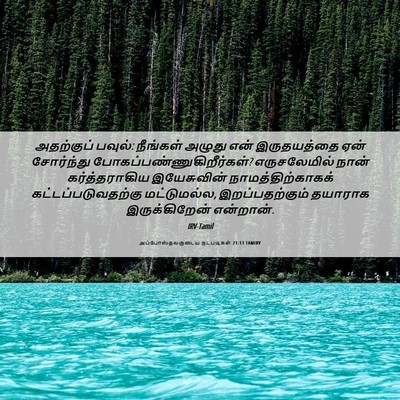 Picture 06 - அப்போஸ்தலருடைய நடபடிகள் 21:13 TAMIRV - அதற்குப் பவுல்: - Bible Verse Picture