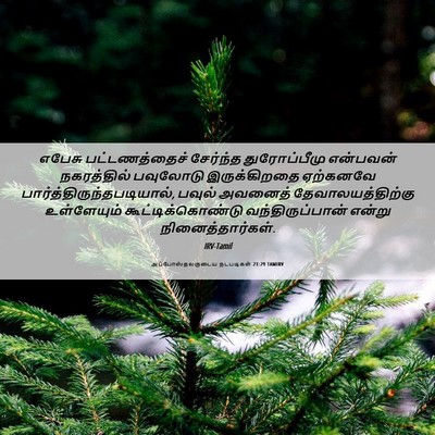 Picture 06 - அப்போஸ்தலருடைய நடபடிகள் 21:29 TAMIRV - எபேசு பட்டணத்தைச் - Bible Verse Picture
