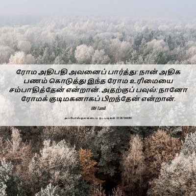 Picture 06 - அப்போஸ்தலருடைய நடபடிகள் 22:28 TAMIRV - ரோம அதிபதி அவனைப் - Bible Verse Picture
