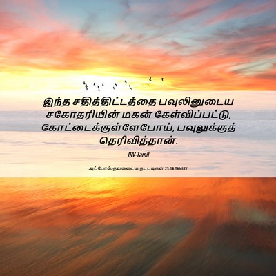 Picture 06 - அப்போஸ்தலருடைய நடபடிகள் 23:16 TAMIRV - இந்த - Bible Verse Picture