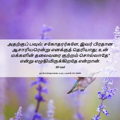 Picture 06 - அப்போஸ்தலருடைய நடபடிகள் 23:5 TAMIRV - அதற்குப் பவுல்: - Bible Verse Picture