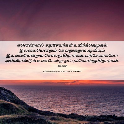 Picture 06 - அப்போஸ்தலருடைய நடபடிகள் 23:8 TAMIRV - ஏனென்றால், - Bible Verse Picture