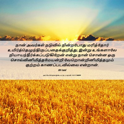 Picture 06 - அப்போஸ்தலருடைய நடபடிகள் 24:21 TAMIRV - நான் அவர்கள் - Bible Verse Picture