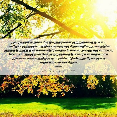Picture 06 - அப்போஸ்தலருடைய நடபடிகள் 25:16 TAMIRV - அவர்களுக்கு நான் - Bible Verse Picture