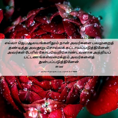 Picture 06 - அப்போஸ்தலருடைய நடபடிகள் 26:11 TAMIRV - எல்லா - Bible Verse Picture