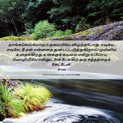Picture 06 - அப்போஸ்தலருடைய நடபடிகள் 26:14 TAMIRV - நாங்களெல்லோரும் - Bible Verse Picture