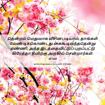 Picture 06 - அப்போஸ்தலருடைய நடபடிகள் 27:13 TAMIRV - தென்றல் மெதுவாக - Bible Verse Picture