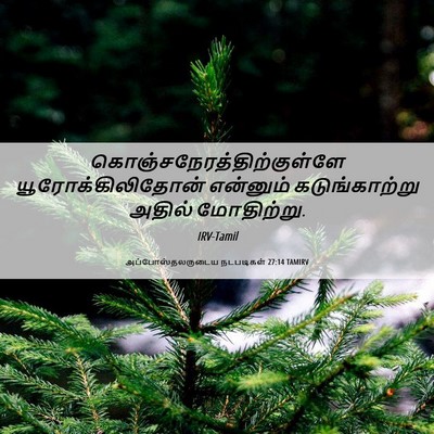Picture 06 - அப்போஸ்தலருடைய நடபடிகள் 27:14 TAMIRV -  - Bible Verse Picture