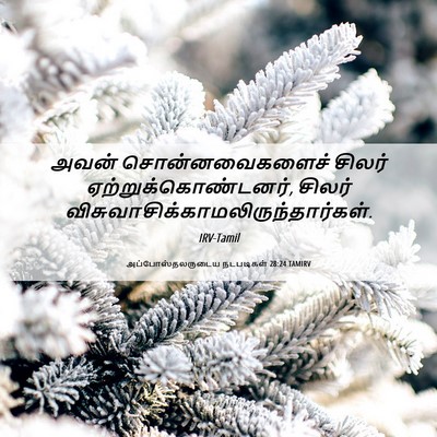 Picture 06 - அப்போஸ்தலருடைய நடபடிகள் 28:24 TAMIRV - அவன் சொன்னவைகளைச் - Bible Verse Picture