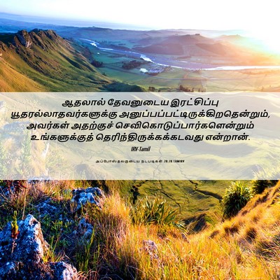 Picture 06 - அப்போஸ்தலருடைய நடபடிகள் 28:28 TAMIRV - ஆதலால் தேவனுடைய - Bible Verse Picture