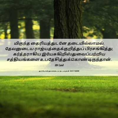 Picture 06 - அப்போஸ்தலருடைய நடபடிகள் 28:31 TAMIRV - மிகுந்த - Bible Verse Picture