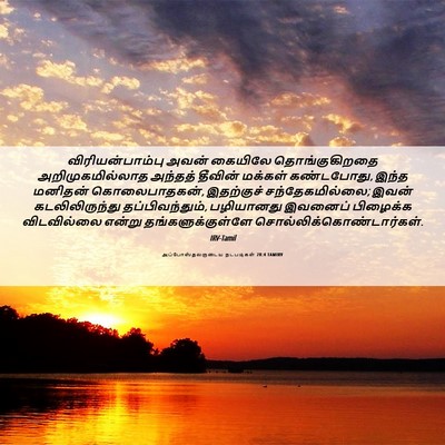Picture 06 - அப்போஸ்தலருடைய நடபடிகள் 28:4 TAMIRV - விரியன்பாம்பு - Bible Verse Picture