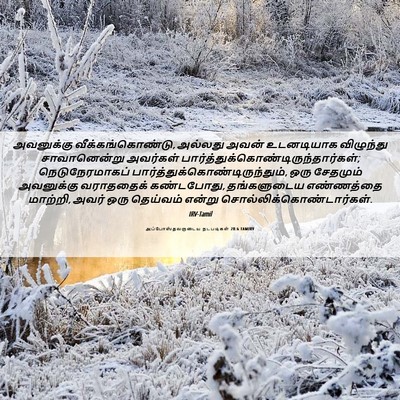 Picture 06 - அப்போஸ்தலருடைய நடபடிகள் 28:6 TAMIRV - அவனுக்கு - Bible Verse Picture