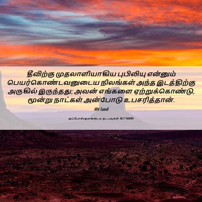 Picture 06 - அப்போஸ்தலருடைய நடபடிகள் 28:7 TAMIRV - தீவிற்கு - Bible Verse Picture