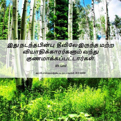 Picture 06 - அப்போஸ்தலருடைய நடபடிகள் 28:9 TAMIRV - இது நடந்தபின்பு, - Bible Verse Picture