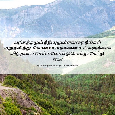 Picture 06 - அப்போஸ்தலருடைய நடபடிகள் 3:14 TAMIRV - பரிசுத்தமும் - Bible Verse Picture