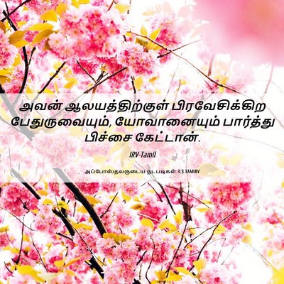 Picture 06 - அப்போஸ்தலருடைய நடபடிகள் 3:3 TAMIRV - அவன் - Bible Verse Picture