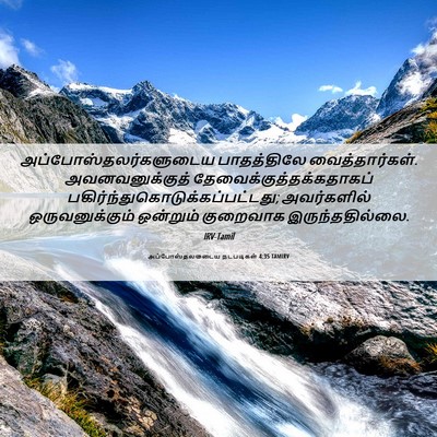Picture 06 - அப்போஸ்தலருடைய நடபடிகள் 4:35 TAMIRV -  - Bible Verse Picture