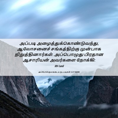Picture 06 - அப்போஸ்தலருடைய நடபடிகள் 5:27 TAMIRV - அப்படி - Bible Verse Picture