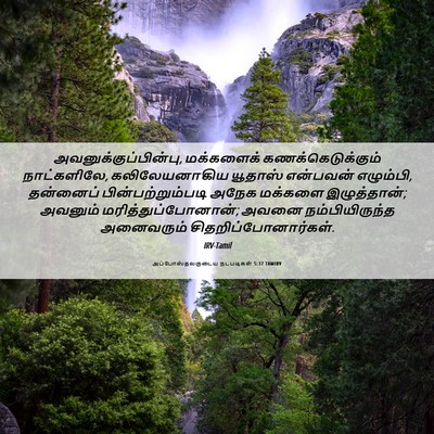 Picture 06 - அப்போஸ்தலருடைய நடபடிகள் 5:37 TAMIRV - அவனுக்குப்பின்பு, - Bible Verse Picture