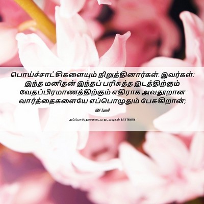 Picture 06 - அப்போஸ்தலருடைய நடபடிகள் 6:13 TAMIRV -  - Bible Verse Picture