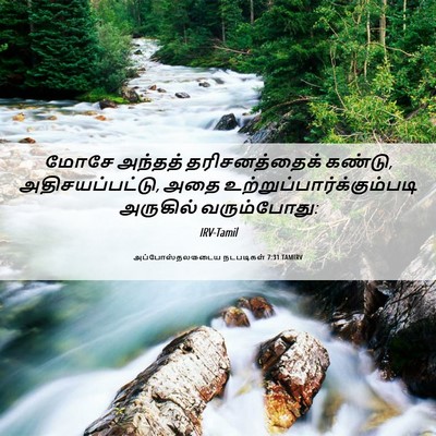 Picture 06 - அப்போஸ்தலருடைய நடபடிகள் 7:31 TAMIRV - மோசே அந்தத் - Bible Verse Picture