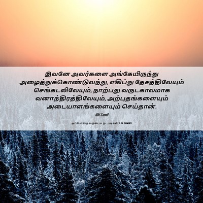Picture 06 - அப்போஸ்தலருடைய நடபடிகள் 7:36 TAMIRV - இவனே அவர்களை - Bible Verse Picture