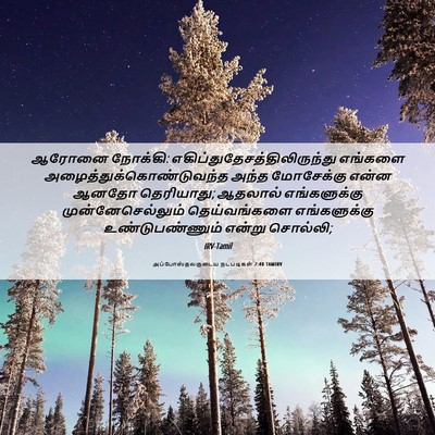Picture 06 - அப்போஸ்தலருடைய நடபடிகள் 7:40 TAMIRV - ஆரோனை நோக்கி: - Bible Verse Picture