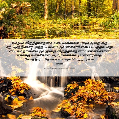 Picture 06 - அப்போஸ்தலருடைய நடபடிகள் 7:8 TAMIRV - மேலும் - Bible Verse Picture