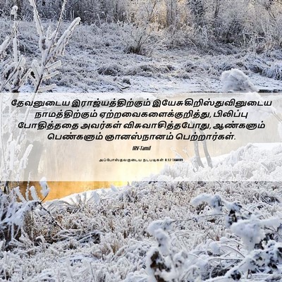 Picture 06 - அப்போஸ்தலருடைய நடபடிகள் 8:12 TAMIRV - தேவனுடைய - Bible Verse Picture