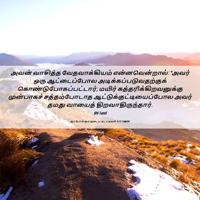 Picture 06 - அப்போஸ்தலருடைய நடபடிகள் 8:32 TAMIRV - அவன் வாசித்த - Bible Verse Picture