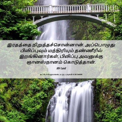 Picture 06 - அப்போஸ்தலருடைய நடபடிகள் 8:38 TAMIRV - இரதத்தை - Bible Verse Picture