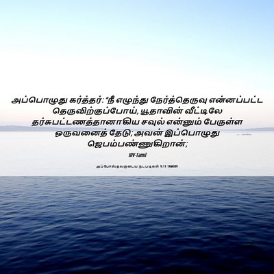 Picture 06 - அப்போஸ்தலருடைய நடபடிகள் 9:11 TAMIRV - அப்பொழுது - Bible Verse Picture