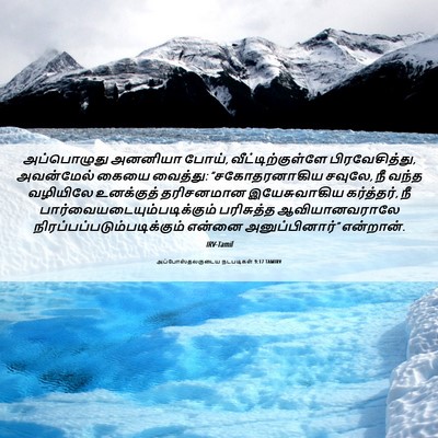 Picture 06 - அப்போஸ்தலருடைய நடபடிகள் 9:17 TAMIRV - அப்பொழுது அனனியா - Bible Verse Picture