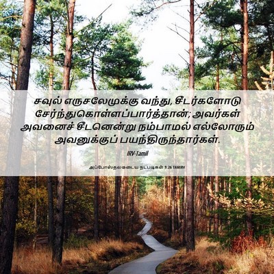 Picture 06 - அப்போஸ்தலருடைய நடபடிகள் 9:26 TAMIRV - சவுல் - Bible Verse Picture