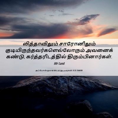 Picture 06 - அப்போஸ்தலருடைய நடபடிகள் 9:35 TAMIRV - லித்தாவிலும் - Bible Verse Picture