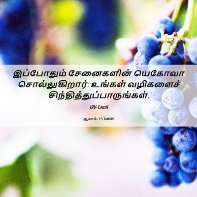 Picture 06 - ஆகாய் 1:5 TAMIRV - இப்போதும் - Bible Verse Picture