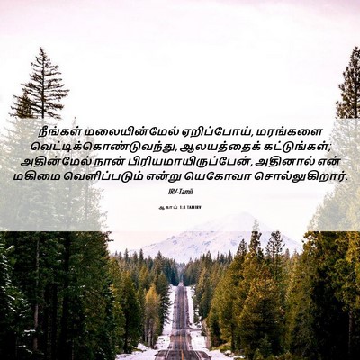 Picture 06 - ஆகாய் 1:8 TAMIRV - நீங்கள் - Bible Verse Picture