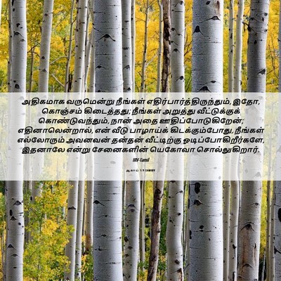 Picture 06 - ஆகாய் 1:9 TAMIRV - அதிகமாக வருமென்று - Bible Verse Picture