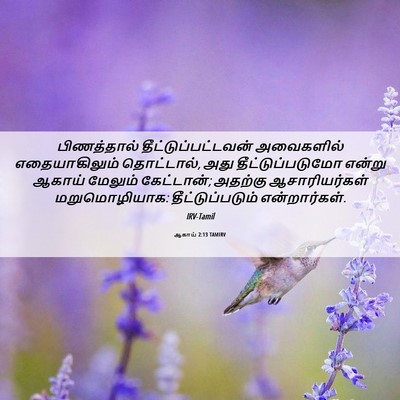 Picture 06 - ஆகாய் 2:13 TAMIRV - பிணத்தால் - Bible Verse Picture
