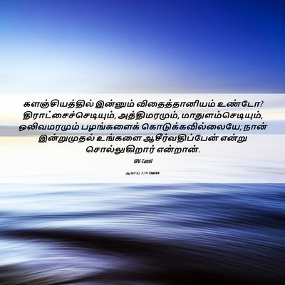 Picture 06 - ஆகாய் 2:19 TAMIRV - களஞ்சியத்தில் - Bible Verse Picture
