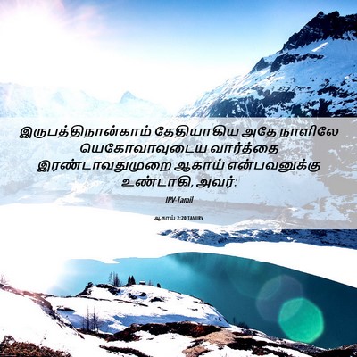Picture 06 - ஆகாய் 2:20 TAMIRV - இருபத்திநான்காம் - Bible Verse Picture