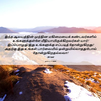 Picture 06 - ஆகாய் 2:3 TAMIRV - இந்த ஆலயத்தின் - Bible Verse Picture