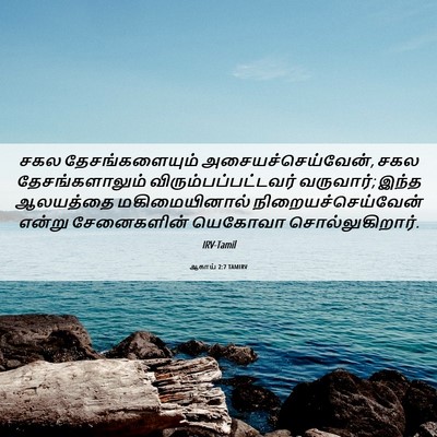 Picture 06 - ஆகாய் 2:7 TAMIRV - சகல தேசங்களையும் - Bible Verse Picture
