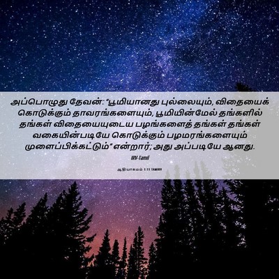 Picture 06 - ஆதியாகமம் 1:11 TAMIRV - அப்பொழுது தேவன்: - Bible Verse Picture