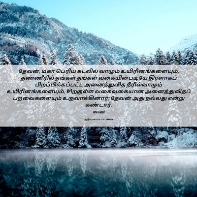 Picture 06 - ஆதியாகமம் 1:21 TAMIRV - தேவன், மகா பெரிய - Bible Verse Picture