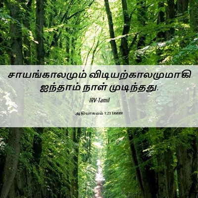 Picture 06 - ஆதியாகமம் 1:23 TAMIRV - சாயங்காலமும் - Bible Verse Picture