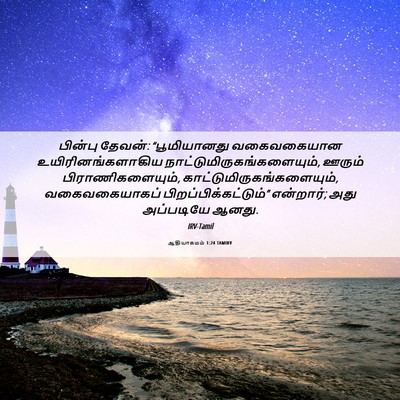 Picture 06 - ஆதியாகமம் 1:24 TAMIRV - பின்பு தேவன்: - Bible Verse Picture