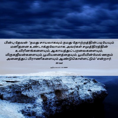 Picture 06 - ஆதியாகமம் 1:26 TAMIRV - பின்பு தேவன்: - Bible Verse Picture
